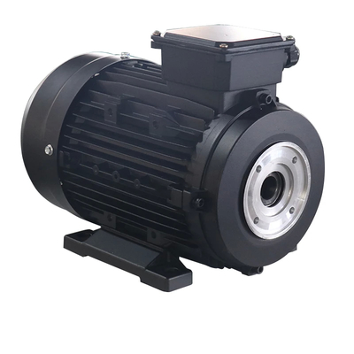 Pressure Washer Hollow Shaft Motor Φ24mm Diameter -20C- 40C Ambient Temperature